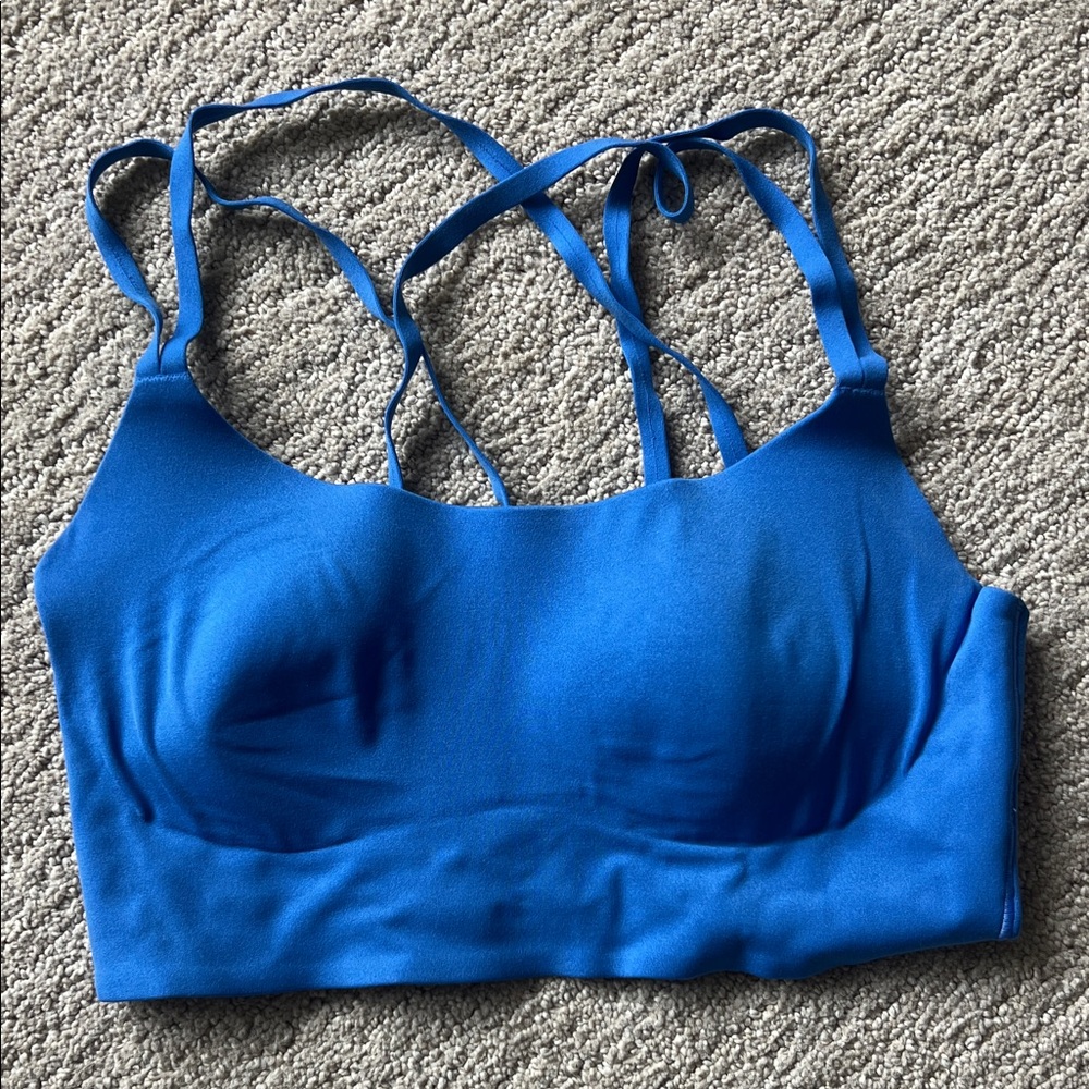 Aerie Offline Women's Blue Sports Bra